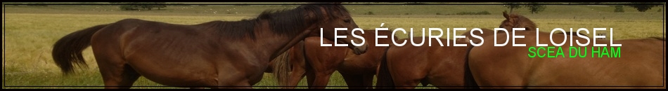 LES ÉCURIES DE LOISEL